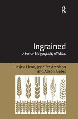 Ingrained: A Human Bio-geography of Wheat by Head, Lesley
