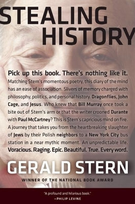 Stealing History by Stern, Gerald