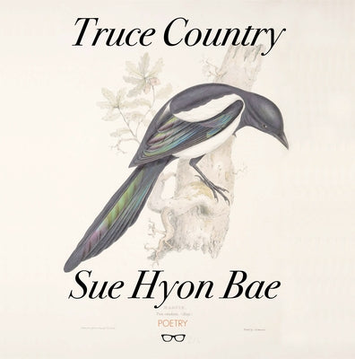 Truce Country by Bae, Sue Hyon
