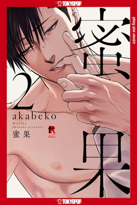 Mitsuka, Volume 2 by Akabeko
