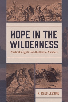 Hope in the Wilderness: Practical Insights from the Book of Numbers by Lessing, R. Reed