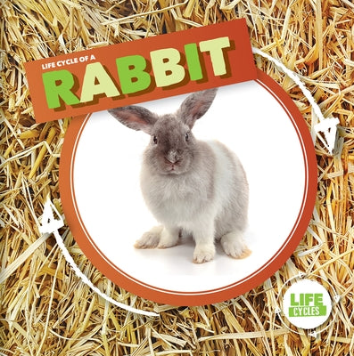 Life Cycle of a Rabbit by Holmes, Kirsty