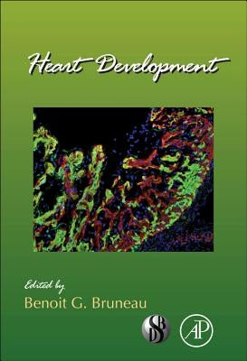 Heart Development: Volume 100 by Bruneau G., Benoit