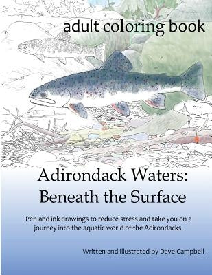 Adirondack Waters: Beneath the Surface by Campbell, Dave