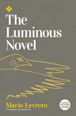 Luminous Novel by Levrero, Mario