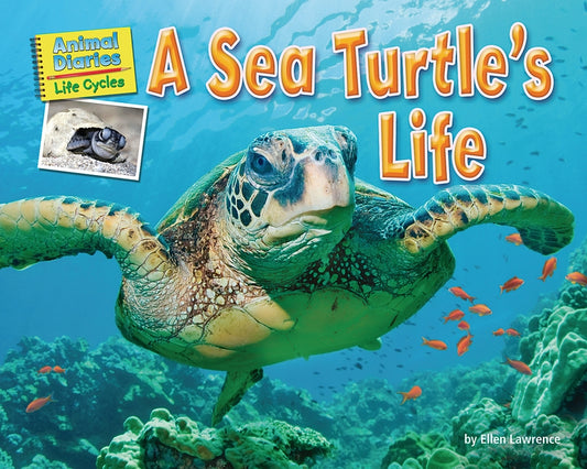 A Sea Turtle's Life by Lawrence, Ellen