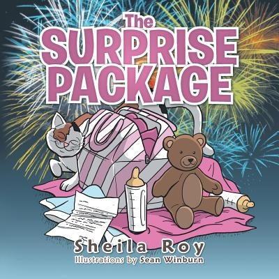 The Surprise Package by Roy, Sheila