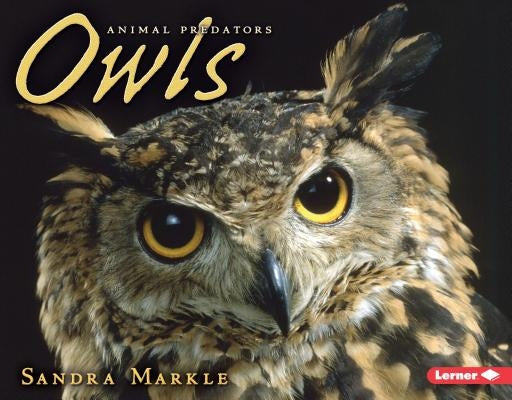 Owls by Markle, Sandra