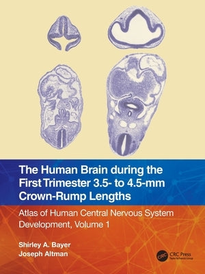 The Human Brain During the First Trimester 3.5- To 4.5-MM Crown-Rump Lengths: Atlas of Human Central Nervous System Development, Volume 1 by Bayer, Shirley A.