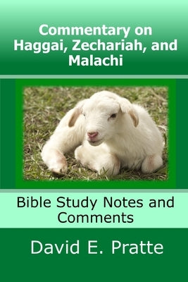 Commentary on Haggai, Zechariah, and Malachi: Bible Study Notes and Comments by Pratte, David E.