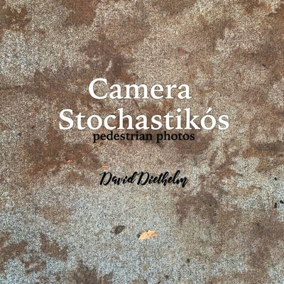 Camera Stochastikós: pedestrian photos by Diethelm, David