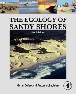 The Ecology of Sandy Shores by Defeo, Omar