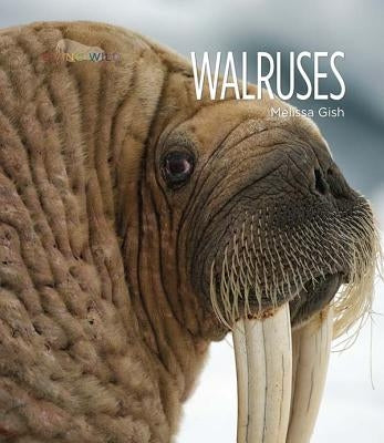 Walruses by Gish, Melissa