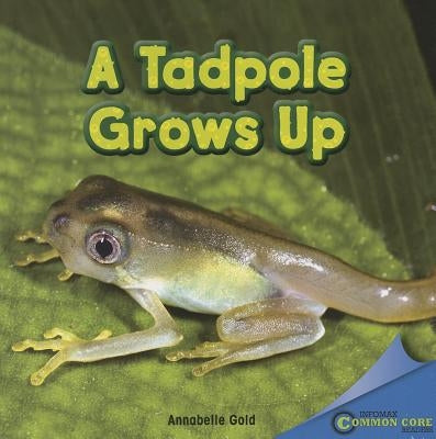 A Tadpole Grows Up by Gold, Annabelle