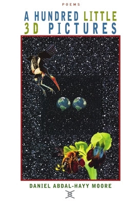 A Hundred Little 3D Pictures / Poetry by Moore, Daniel Abdal-Hayy