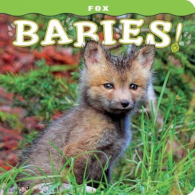 Fox Babies! by Hinch, Stephen C.
