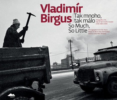 Vladimír Birgus: So Much, So Little: Photographs from the Years When So Much Was Demanded and So Little Was Allowed by Birgus, Vladimir