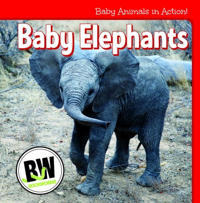 Baby Elephants by Horning, Nicole