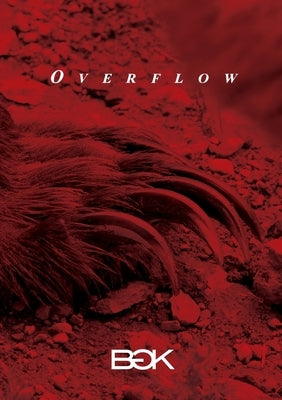 Overflow by Bgk