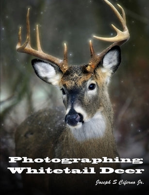 Photographing Whitetail Deer by Ciferno, Joseph, Jr.