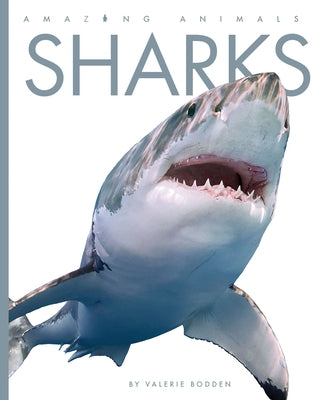 Sharks by Bodden, Valerie