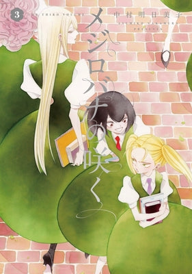 A White Rose in Bloom Vol. 3 by Nakamura, Asumiko