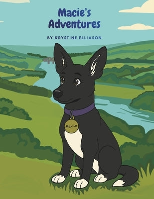 Macie's Adventures: The Way Home by Elliason, Krystine