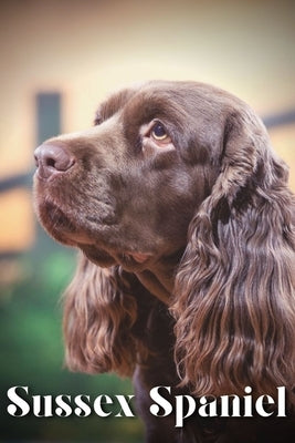 Sussex Spaniel: Dog breed overview and guide by Pustova, Nina