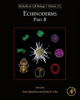 Echinoderms Part B: Volume 151 by Hamdoun, Amro