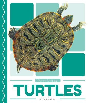 Turtles by Gaertner, Meg