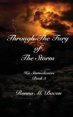 Through The Fury of The Storm by Bacon, Ronna M.