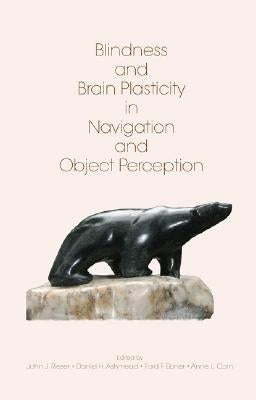 Blindness and Brain Plasticity in Navigation and Object Perception by Rieser, John J.