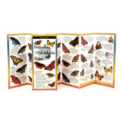 Common Butterflies of the Mid-Atlantic by Cech, Rick