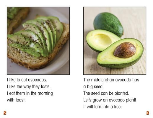 My Avocado Plant by Hayn, Carter