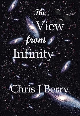 The View from Infinity by Berry, Chris J.