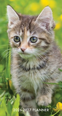 Cute as a Kitten 2-Year 2026-27 3.5 X 6.5 Monthly Pocket Planner by Willow Creek Press