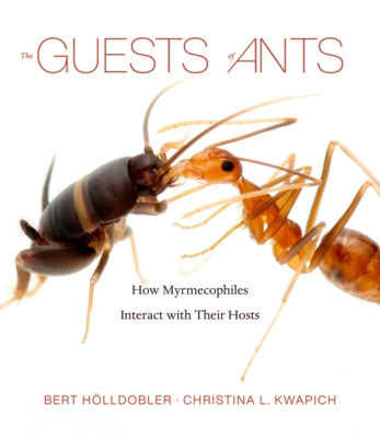 The Guests of Ants: How Myrmecophiles Interact with Their Hosts by Hölldobler, Bert