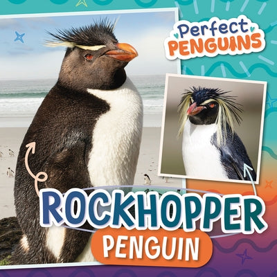 Rockhopper Penguin by Latham, Bethany