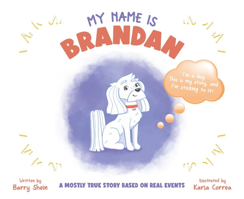 My Name Is Brandan by Shein, Barry