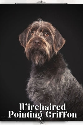 Wirehaired Pointing Griffon: Dog breed overview and guide by Pustova, Nina
