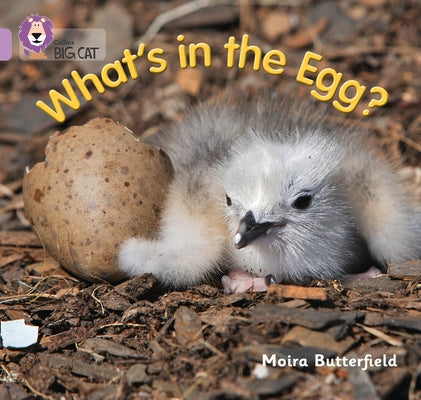 What's in the Egg?: Band 00/Lilac by Butterfield, Moira