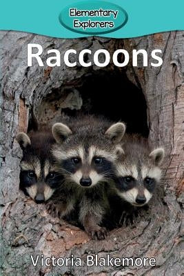 Raccoons by Blakemore, Victoria