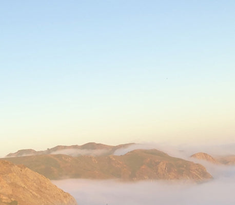 The Museum of Capitalism by Fischer, Norman