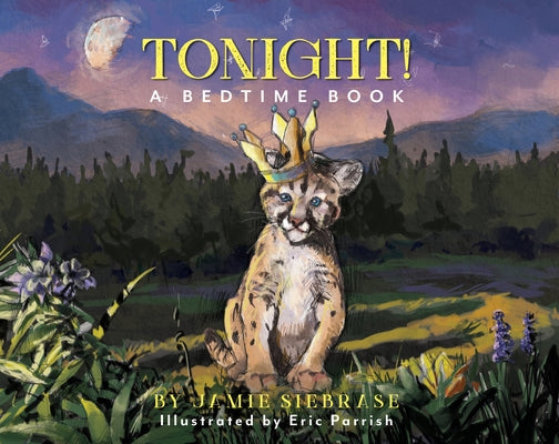 Tonight!: A Bedtime Book by Siebrase, Jamie