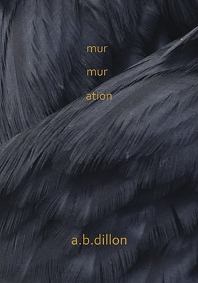 Murmuration by Dillon, A. B.