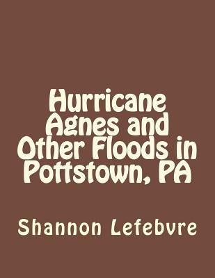 Hurrican Agnes and Other Floods in Pottstown, PA by Lefebvre, Shannon