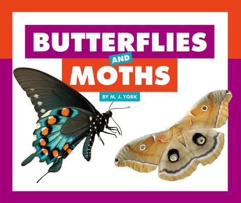 Butterflies and Moths by York, M. J.