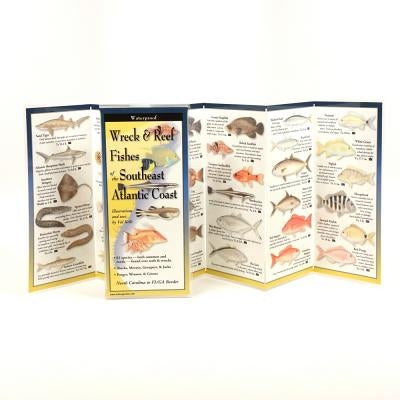 Wreck & Reef Fishes of the Se Atlantic Coast by Kells, Val