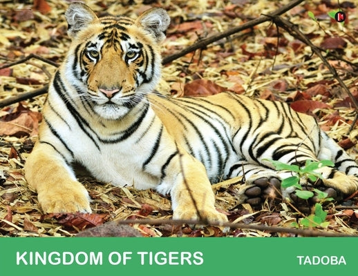 Kingdom of Tigers - Tadoba by J. Santhosh