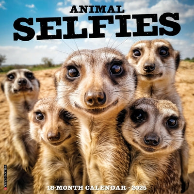 Animal Selfies 2025 12 X 12 Wall Calendar by Willow Creek Press